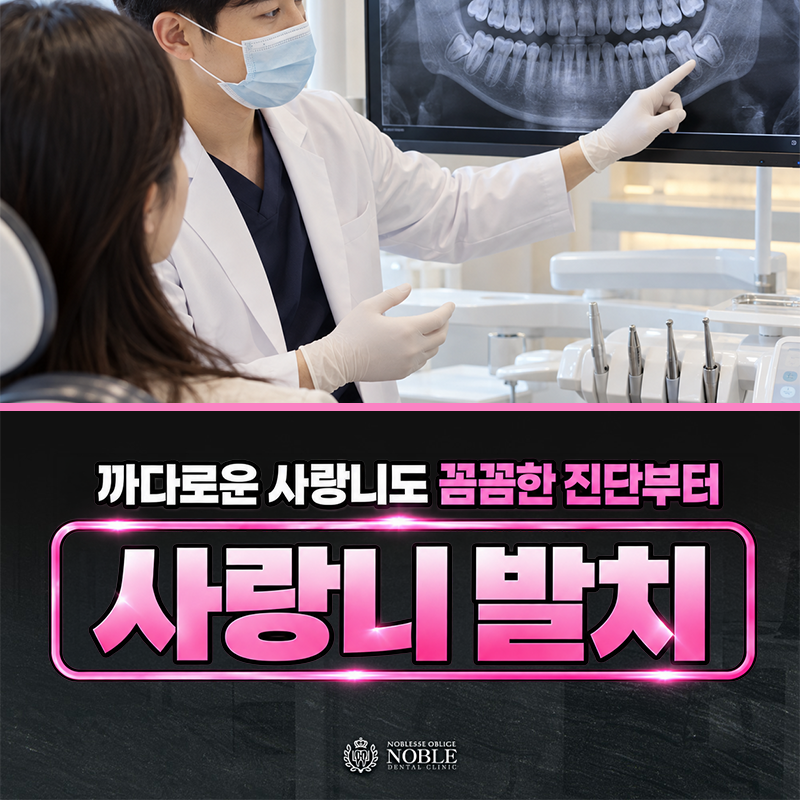 금동이가멍멍하며웃는다 세 번째 기록 이야기 이미지