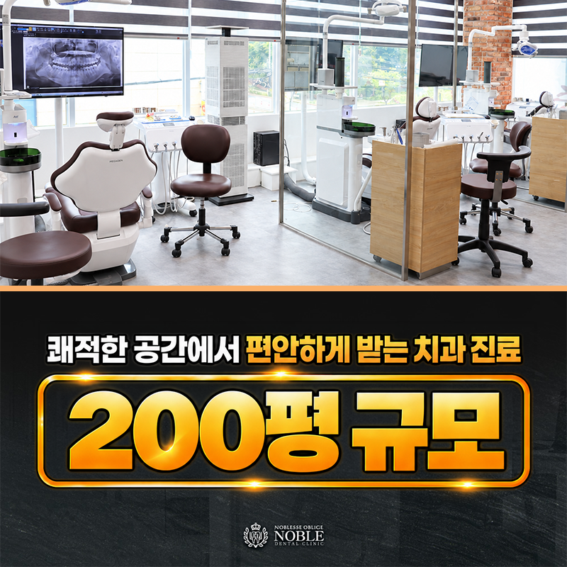 금동이가멍멍하며웃는다 여섯 번째 여정 이야기 이미지