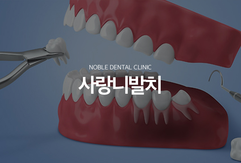 수원 사랑니발치 대표 안내 - 사랑니는 모두 뽑아야 하는 치아가 아니라 맹출 방향과 공간, 반복 염증, 앞 치아 손상 가능성을 확인해 발치 필요성을 판단합니다. 매복 사랑니는 신경관과 상악동 같은 주변 구조의 위치를 영상자료로 확인해 발치 난이도를 평가합니다.